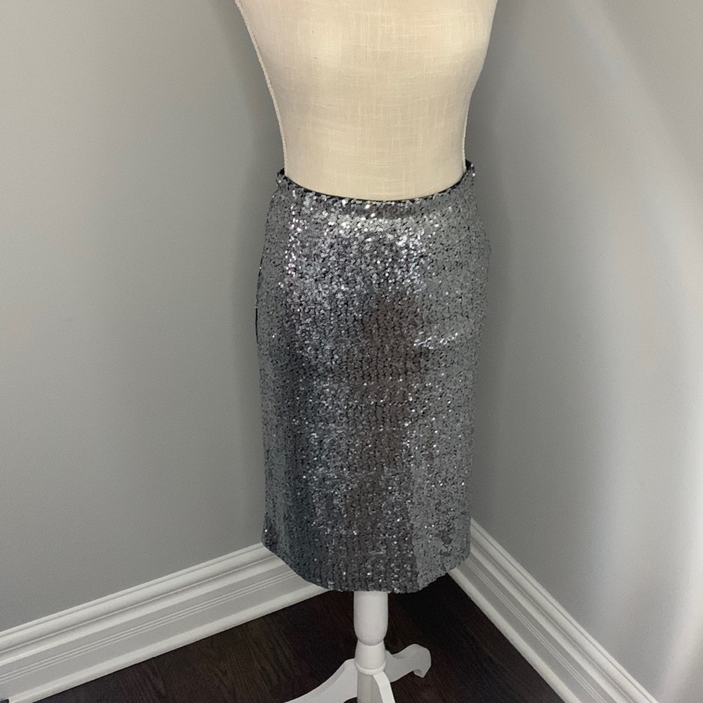 Silver sequence skirt , new with tag.